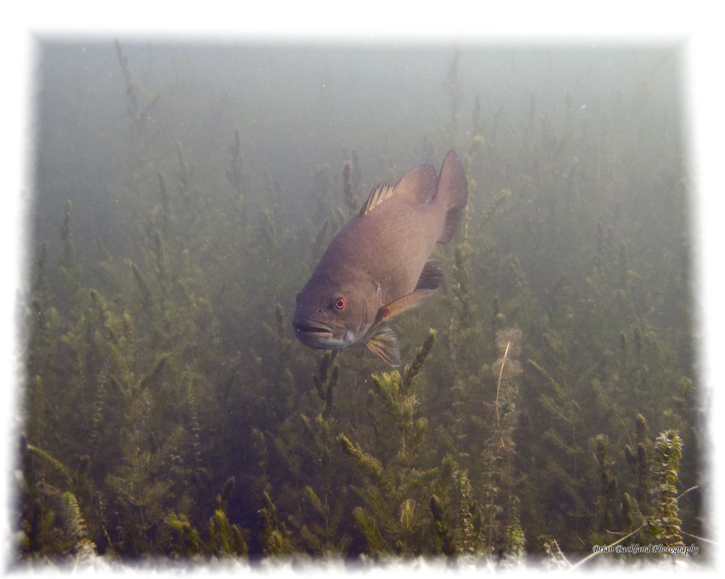 BBPhoto-UW-20090805-032 1 10x8